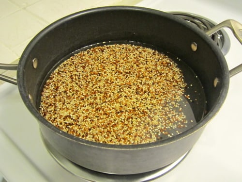 Tri-color quinoa simmering in water in a black pot on the stovetop.