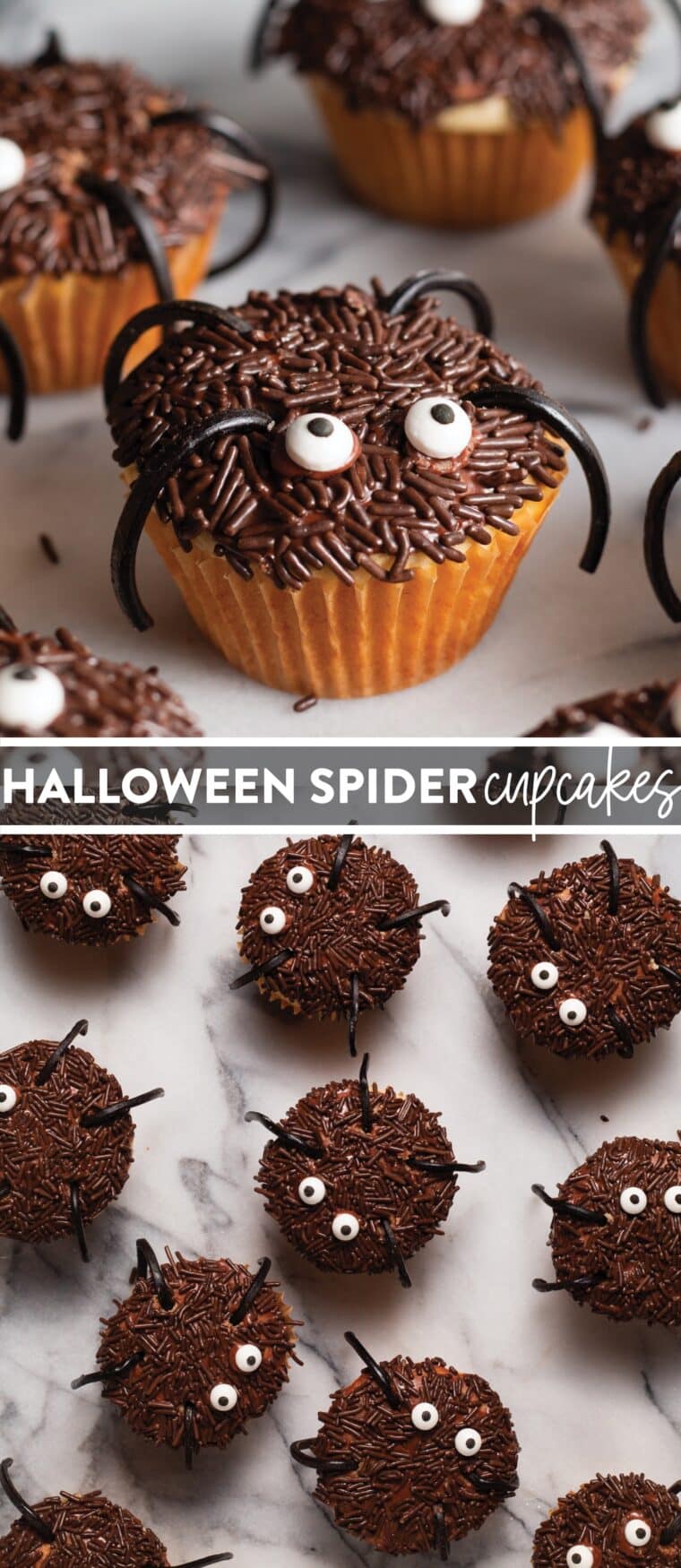 Halloween Spider Cupcakes - These fun Halloween spider cupcakes are an absolute must! They're so easy to decorate, kid-friendly to assemble, and a huge party hit!