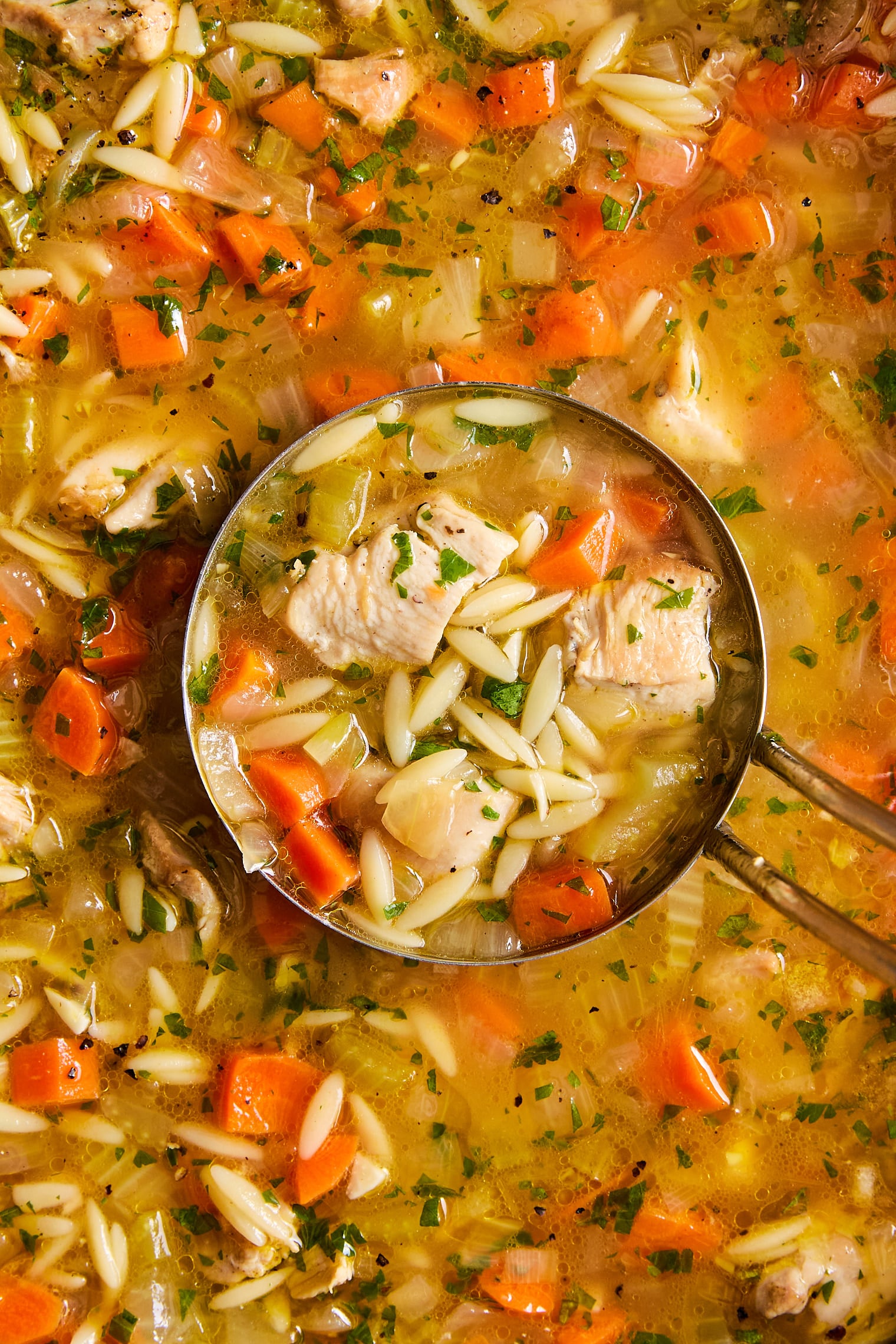Lemon Chicken Orzo Soup - Image 5