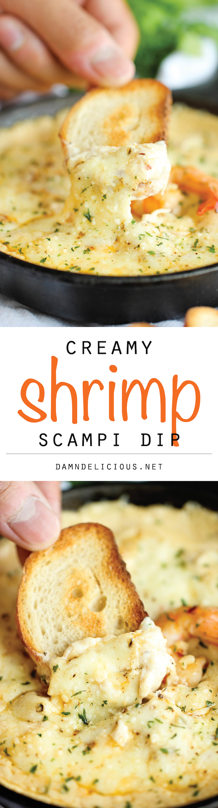 Shrimp Scampi Dip - One of the best dips I've ever had, baked to absolute creamy, cheesy perfection!