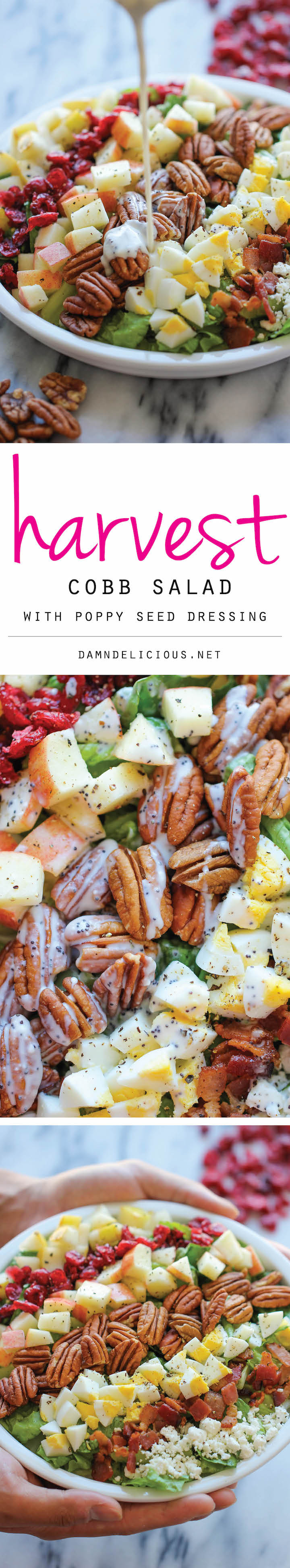 Harvest Cobb Salad - The perfect fall salad with the creamiest poppy seed salad dressing. So good, you'll want to make this all year long!