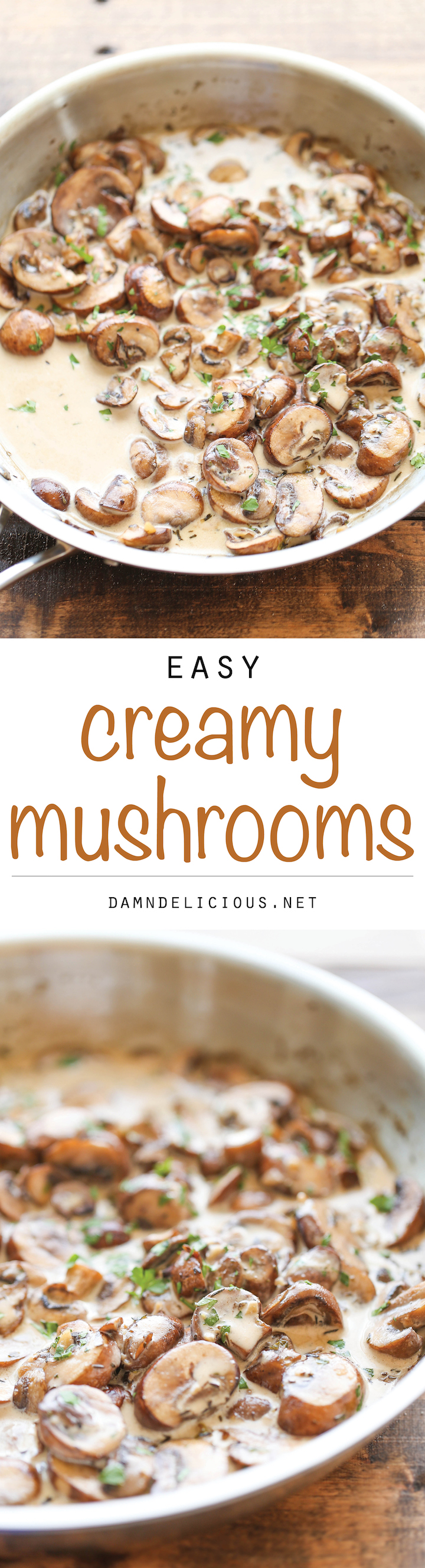 Easy Creamy Mushrooms - The easiest, creamiest mushrooms you will ever have - it's so good, you'll want to skip the main dish and make this a meal instead!