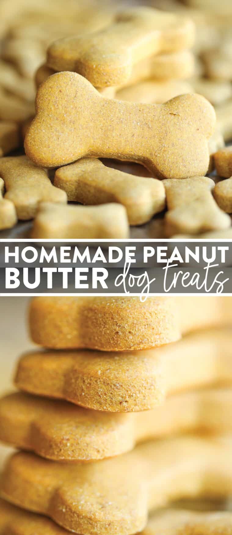 Homemade Peanut Butter Dog Treats - The easiest homemade dog treats ever - simply mix, roll and cut. Easy peasy, and so much healthier than store-bought!
