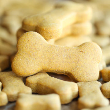 Homemade Peanut Butter Dog Treats