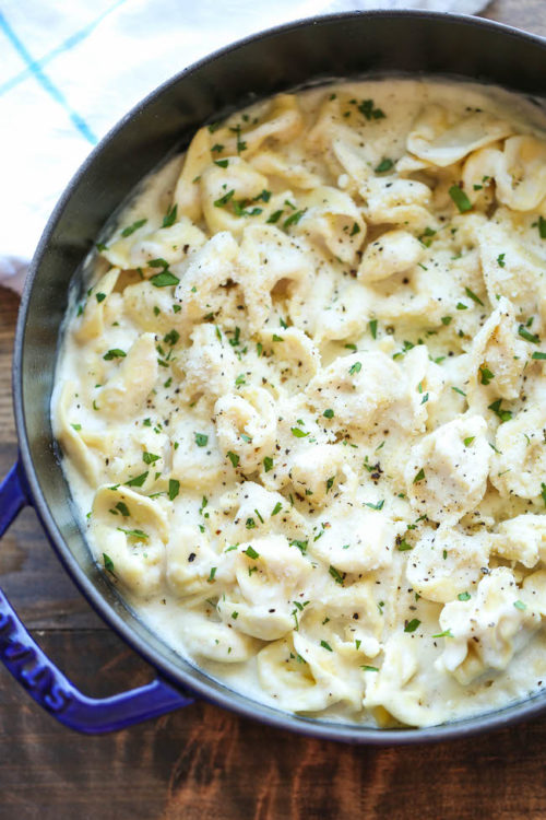 Easy Garlic Alfredo Tortellini Damn Delicious