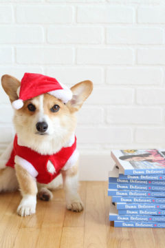 Damn Delicious Cookbook GiveawayIMG_2387