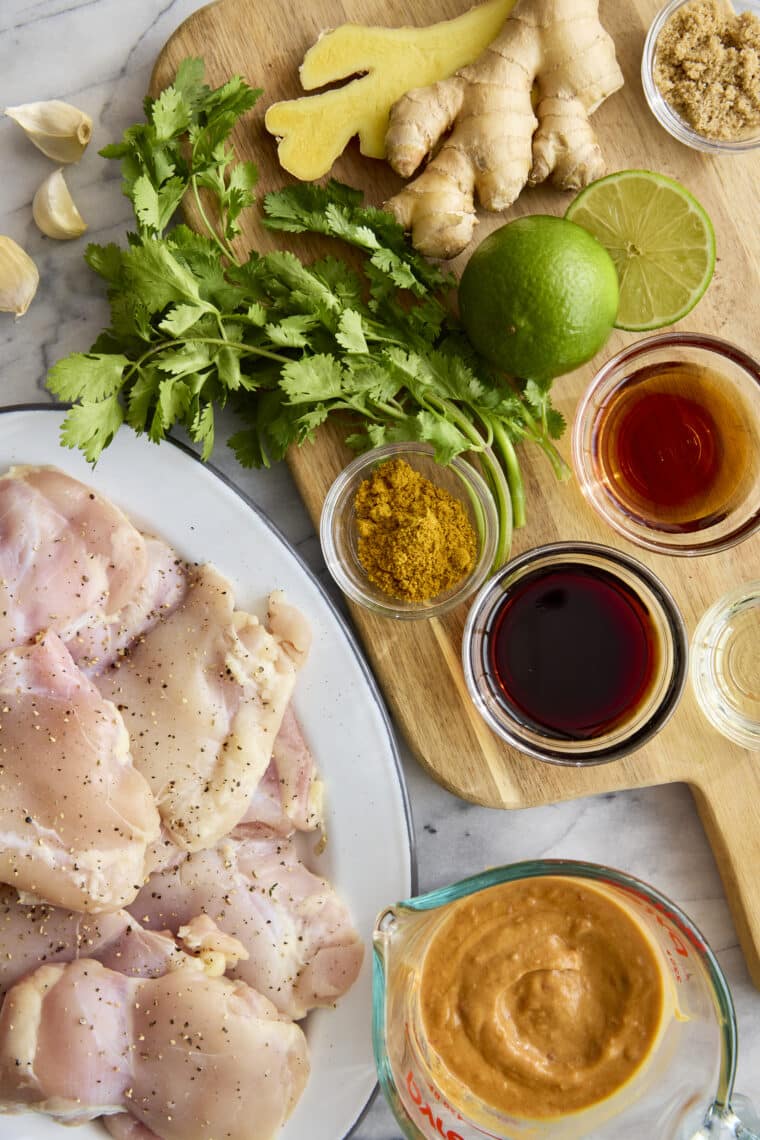 Peanut Chicken Kabobs - Moist, tender, juicy chicken! The most flavorful and easy marinade. Served with the creamiest, dreamiest peanut sauce!