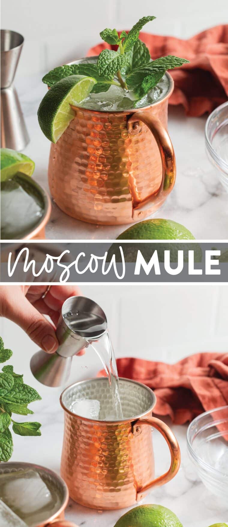 Moscow Mule - A refreshing, crowd-favorite cocktail using only 4 ingredients - vodka, lime, ginger beer and sparkling water made in 5 min. So easy so good!