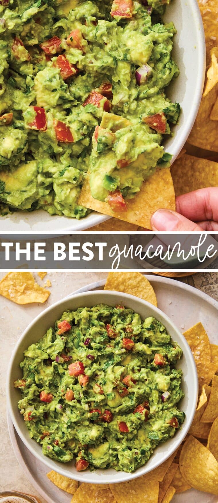 The Best Guacamole - The only guacamole recipe you'll need, using ripe avocados, onion, cilantro, lime zest + juice, jalapeño, garlic + tomato. So fresh, so good!